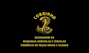 cobrinha